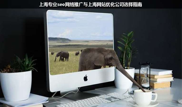上海專業(yè)seo網(wǎng)絡推廣與上海網(wǎng)站優(yōu)化公司選擇指南