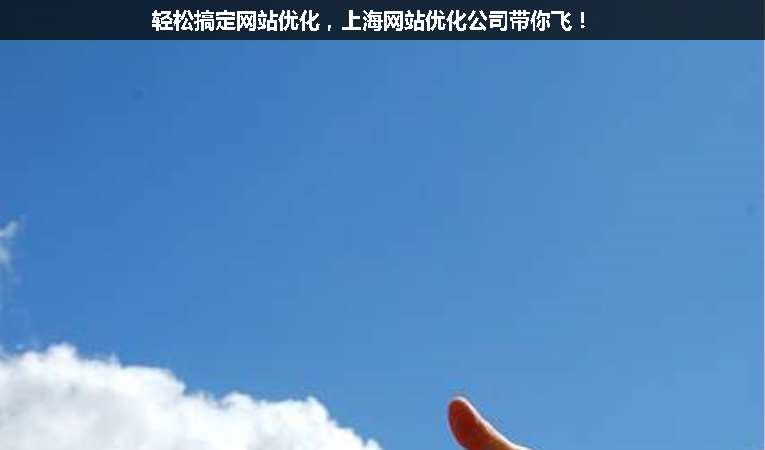 輕松搞定網(wǎng)站優(yōu)化，上海網(wǎng)站優(yōu)化公司帶你飛！
