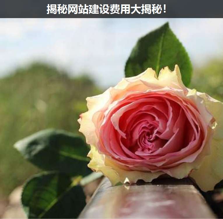 揭秘網(wǎng)站建設(shè)費用大揭秘!