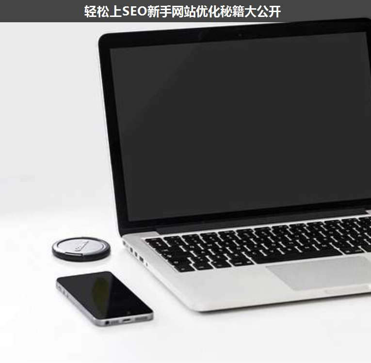 輕松上SEO新手網(wǎng)站優(yōu)化秘籍大公開(kāi)