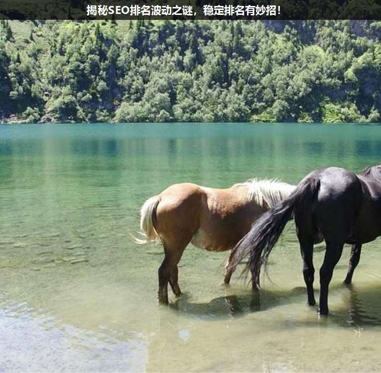 揭秘SEO排名波動之謎,穩(wěn)定排名有妙招!