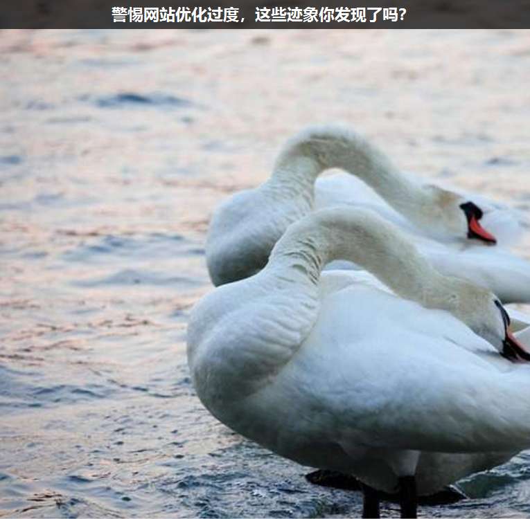 警惕網站優(yōu)化過度,這些跡象你發(fā)現了嗎?