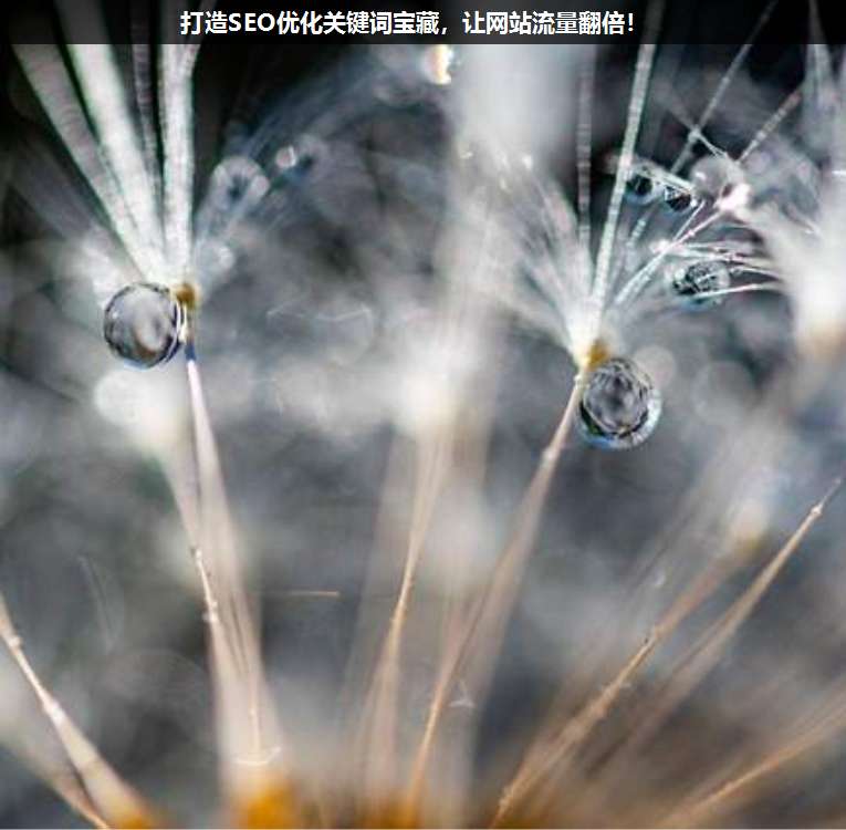 打造SEO優(yōu)化關(guān)鍵詞寶藏,讓網(wǎng)站流量翻倍!