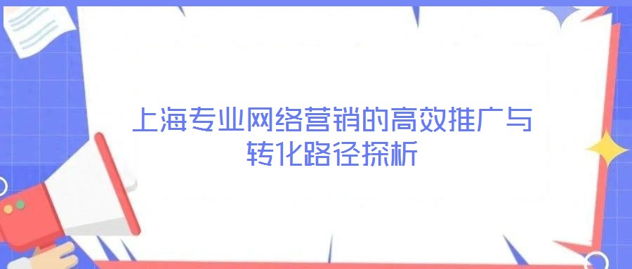 上海專(zhuān)業(yè)網(wǎng)絡(luò)營(yíng)銷(xiāo)的高效推廣與轉(zhuǎn)化路徑探析