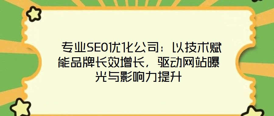  專業(yè)SEO優(yōu)化公司：以技術(shù)賦能品牌長效增長，驅(qū)動網(wǎng)站曝光與影響力提升