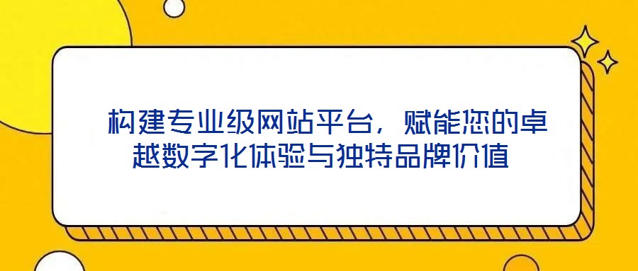  構建專業(yè)級網(wǎng)站平臺，賦能您的卓越數(shù)字化體驗與獨特品牌價值
